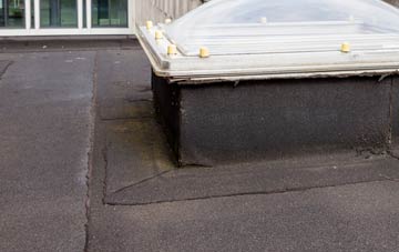 disadvantages of Force Forge flat roofs