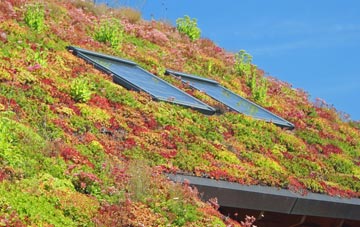 Force Forge living roof systems